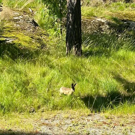 Apartmán Happy House