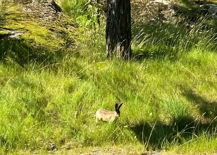 아파트 Happy House